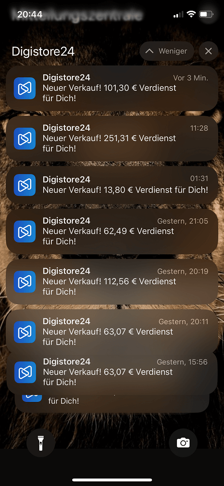 Minikurs Cashflow System – Bild 2