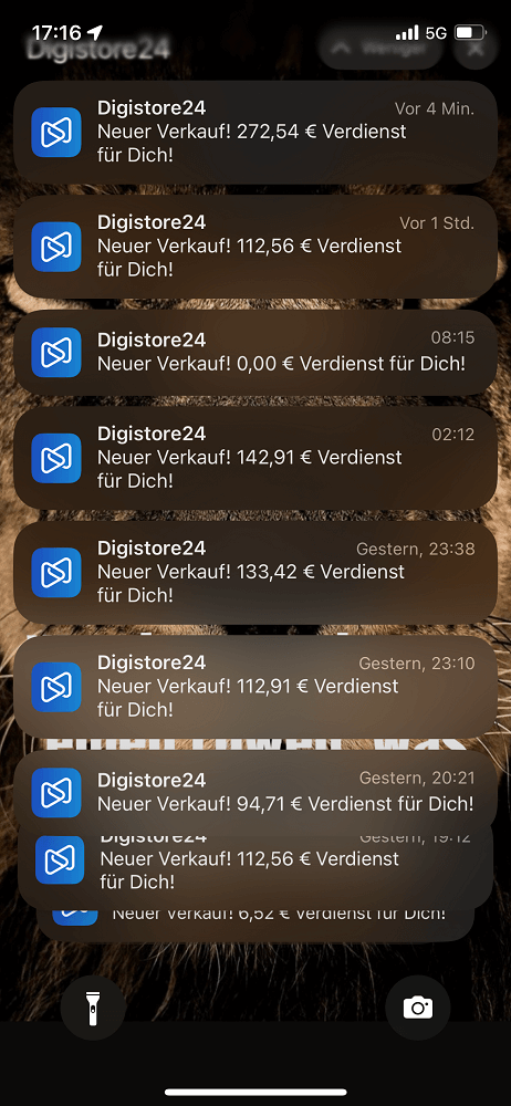 Minikurs Cashflow System – Bild 3