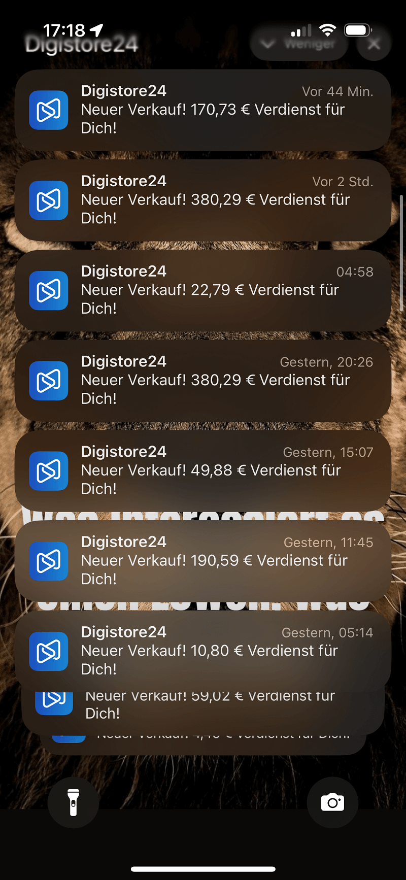 Minikurs Cashflow System – Bild 4